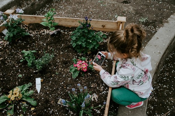 Quelles sont les meilleures méthodes pour intégrer un potager en carrés dans un petit jardin?